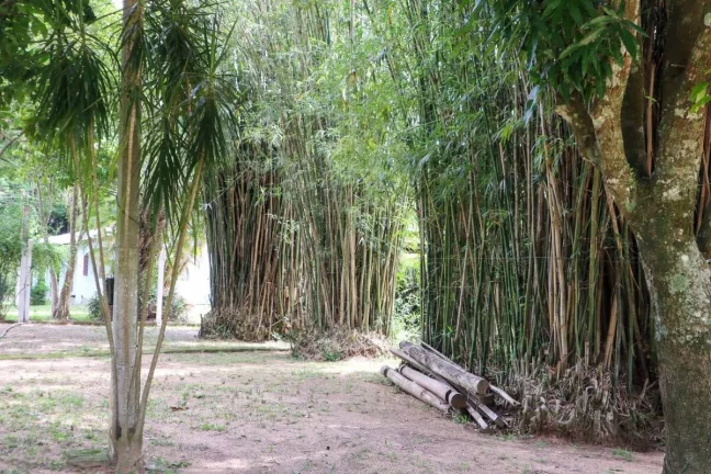 Imagem Excelente Sítio com 4.672m², em condomínio, no centro de Águas Claras