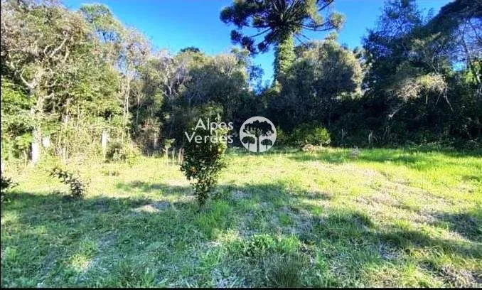 Imagem Terreno a venda por R$ 450.000 - Mato Queimado - Gramado/RS