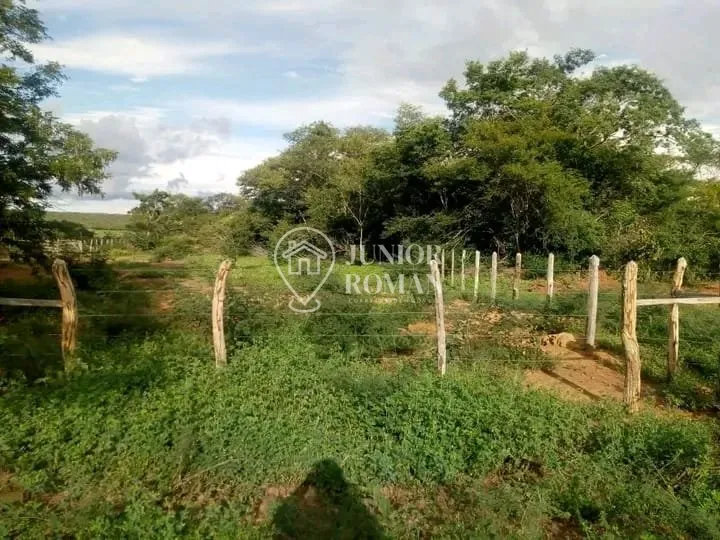 Foto do imóvel FAZENDA - 91,5 HECTARES - CRISTOPOLIS/BA