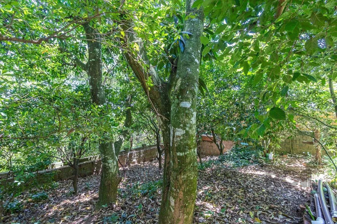 Imagem Casa 4 dormitórios, Altos da Vila Nova, Zona Sul, Porto Alegre.
