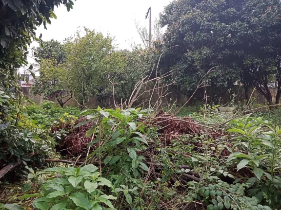 Imagem Investidor!!! Excelente terreno com 720m², Av principal, Krahe em Viamão