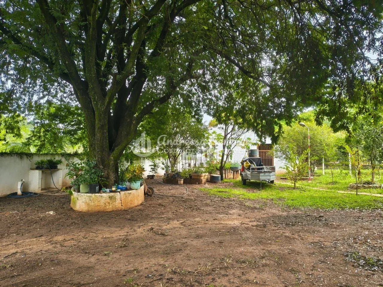 Imagem Recanto de Alá - Chácara com 5 dormitórios à venda, 5000 m² por R$ 1.600.000 - Recanto De Alá - Mirassol/SP