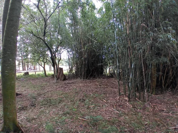Imagem Lindos Terrenos residenciais, Águas Claras / Viamão
