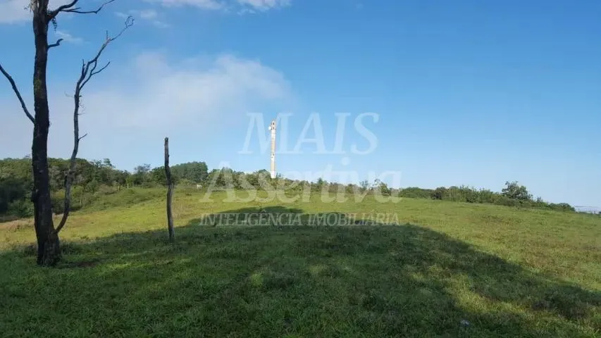 Imagem Excelente sítio para venda localizado no bairro Morungava em Gravataí/RS
