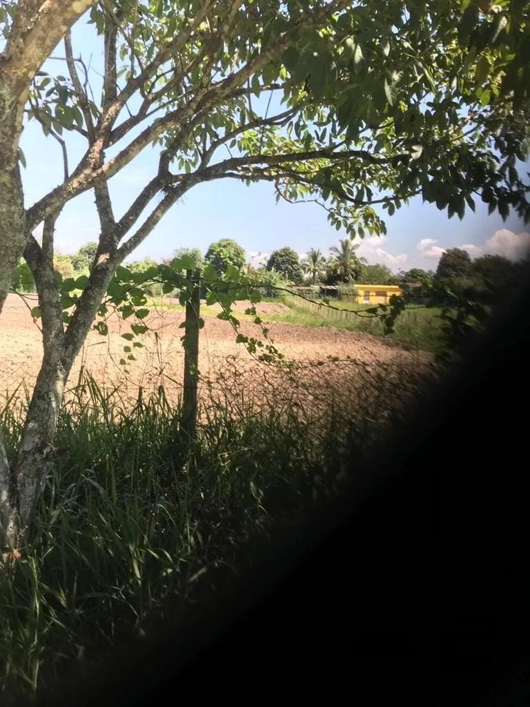 Imagem Terreno à venda 2000M², Pedro Leme, Roseira - SP