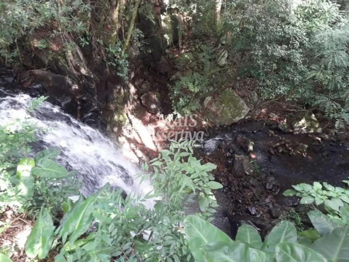 Imagem Sítio para Venda em São Francisco De Paula / RS no bairro Boa Vista