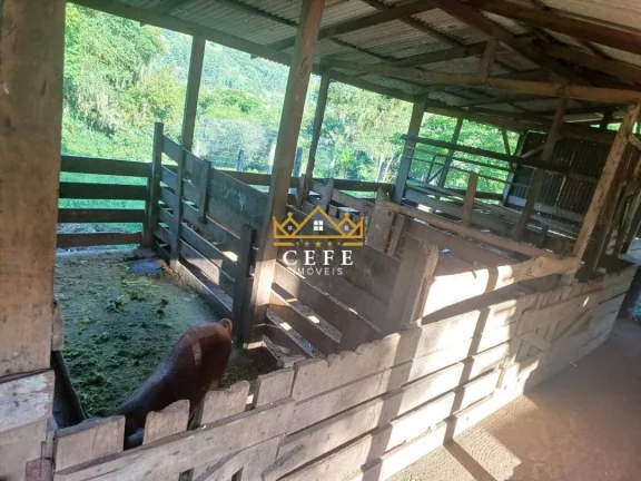Imagem Chácara - Sítio com 2 Dormitorio(s) localizado(a) no bairro Amoreira em Canela / RIO GRANDE DO SUL Ref.:1567