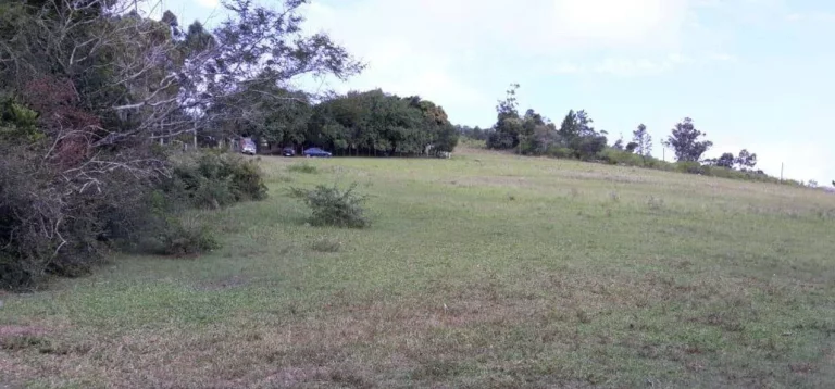 Imagem VISTA PARA A LAGOA!!! Sitio 7,6 Hectares, Piquetes, Casa, Açude, em Itapuã