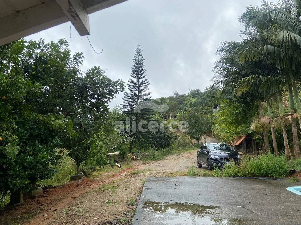 Imagem Sítio/Chacará à Venda no Pagará - Santo Amaro da Imperatriz/SC