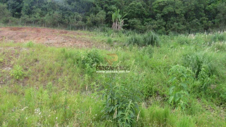 Imagem Terreno para Venda em Concórdia, Santa Cruz