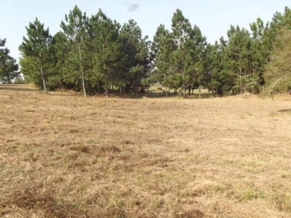 Imagem INVESTIDORES!!! Excelente área de 8 Hectares, frente RS040, Águas Claras