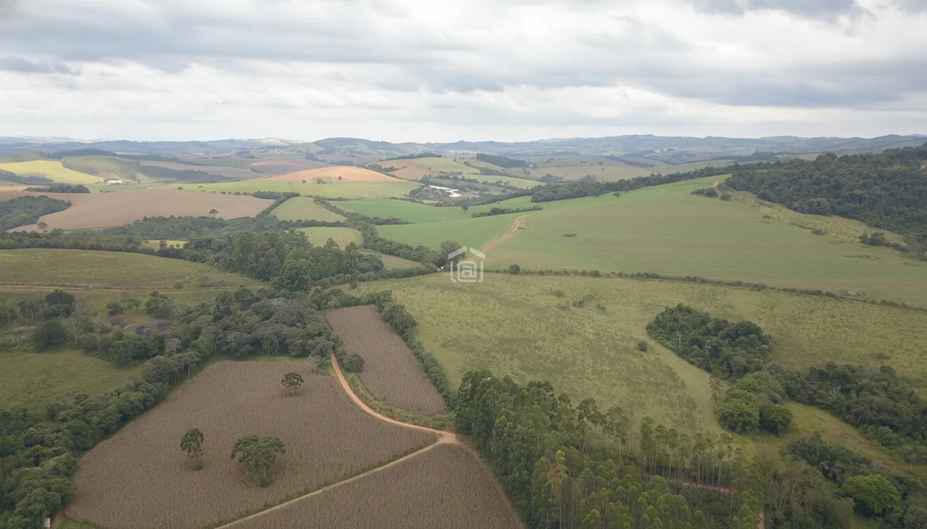 Imagem Fazenda 338,8 ha à venda em Itacolomi, Ipuiúna