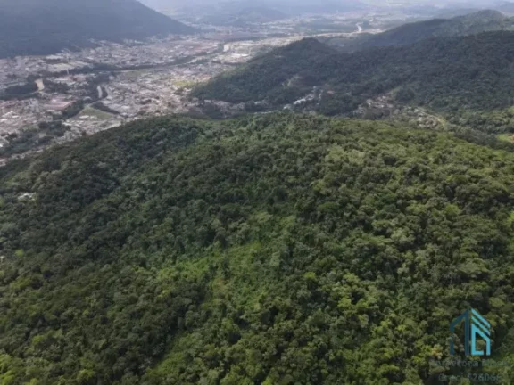 Imagem Terreno 55 mil m², no Morro dos Médicos Área Nobre de Jaraguá do sul - SC