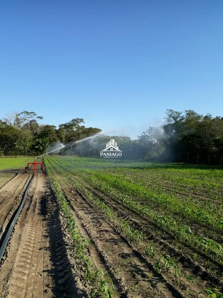 Imagem Sítio de 10,63 Hectares à Venda em Leverger/MT | Estrutura para Pecuária