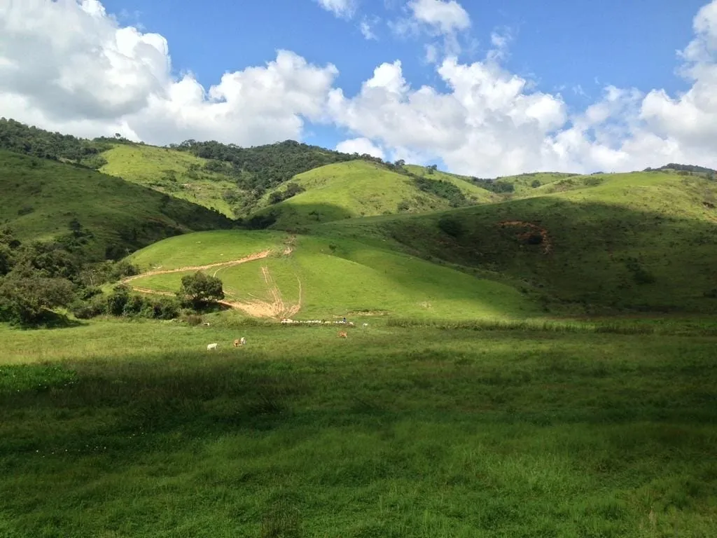 Imagem Chácara à venda 3 Quartos, 1 Suite, 4840000M², Zona Rural, Lagoinha - SP