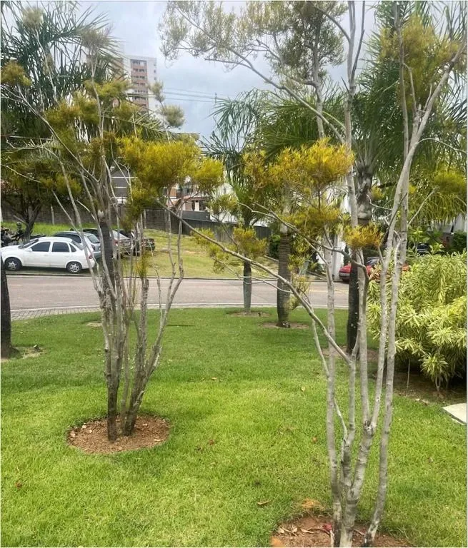 Imagem Terreno no Condomínio Alphaville em João Pessoa | Posição Nascente