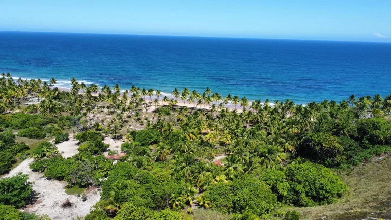 Foto do imóvel ÁREA EXUBERANTE FRENTE MAR