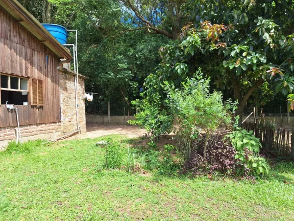 Imagem OPORTUNIDADE!!! Sítio 7.500m², Casa de madeira, Galpão, Pomar, Morro Grande