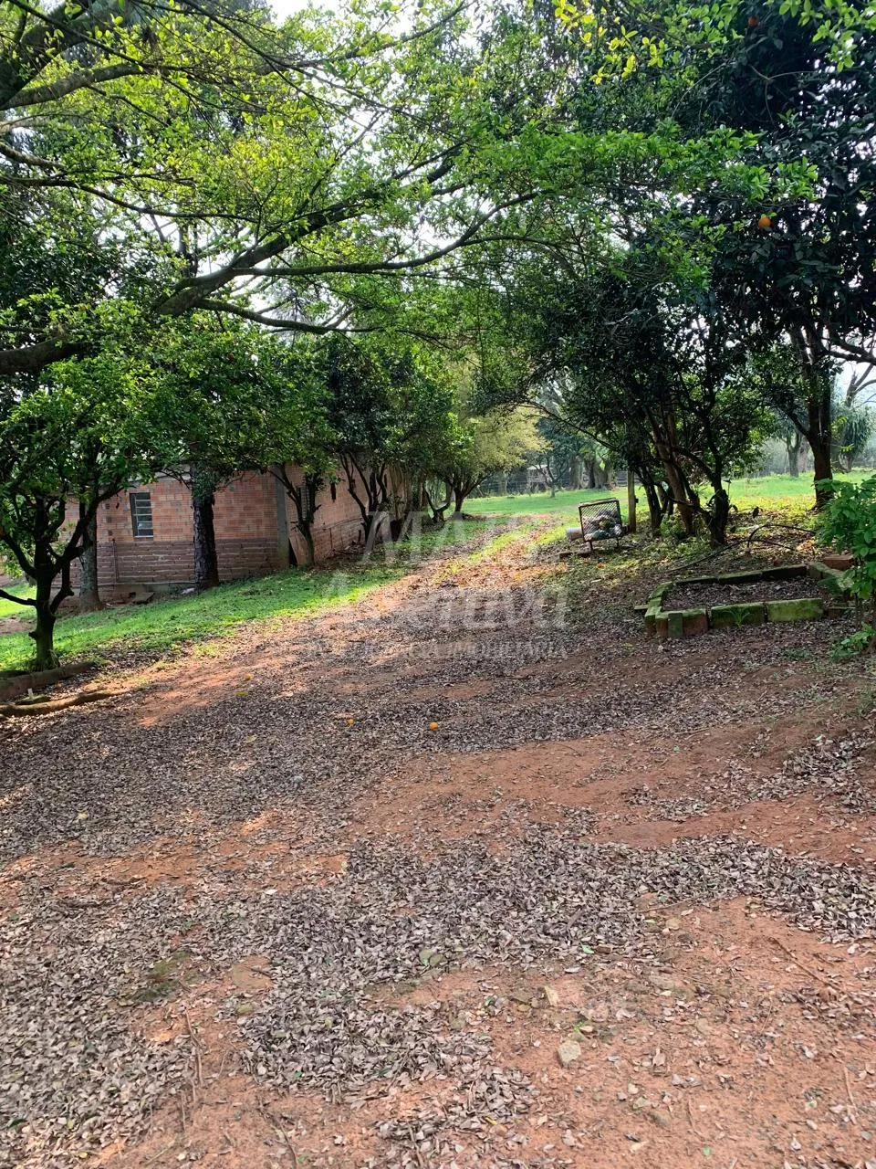 Imagem Chácara para venda em Lomba Grande, Novo Hamburgo - 2 hectares