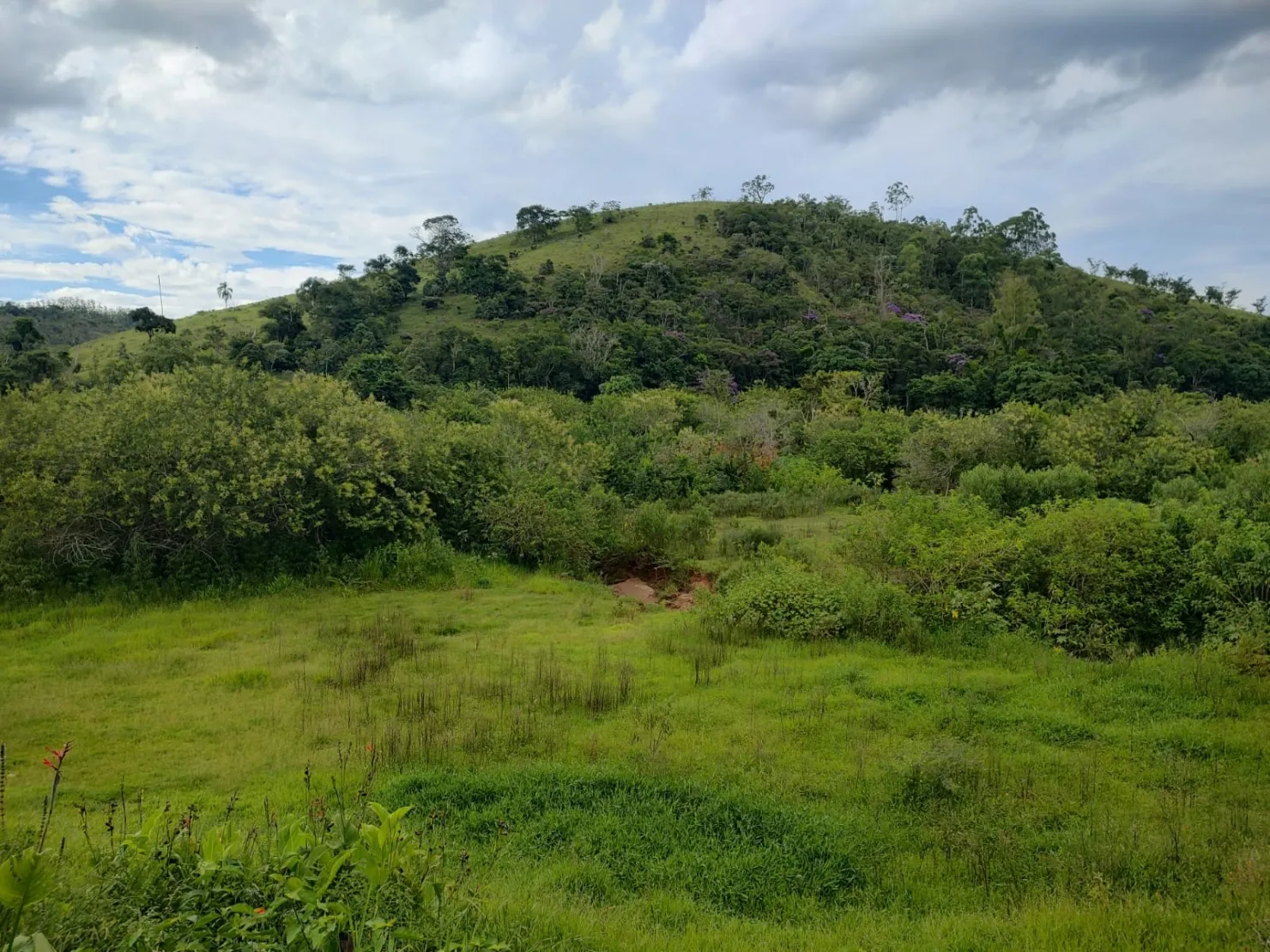 Imagem Chácara à venda 3 Quartos, 1 Suite, 20 Vagas, 24000M², Registro, Taubaté - SP