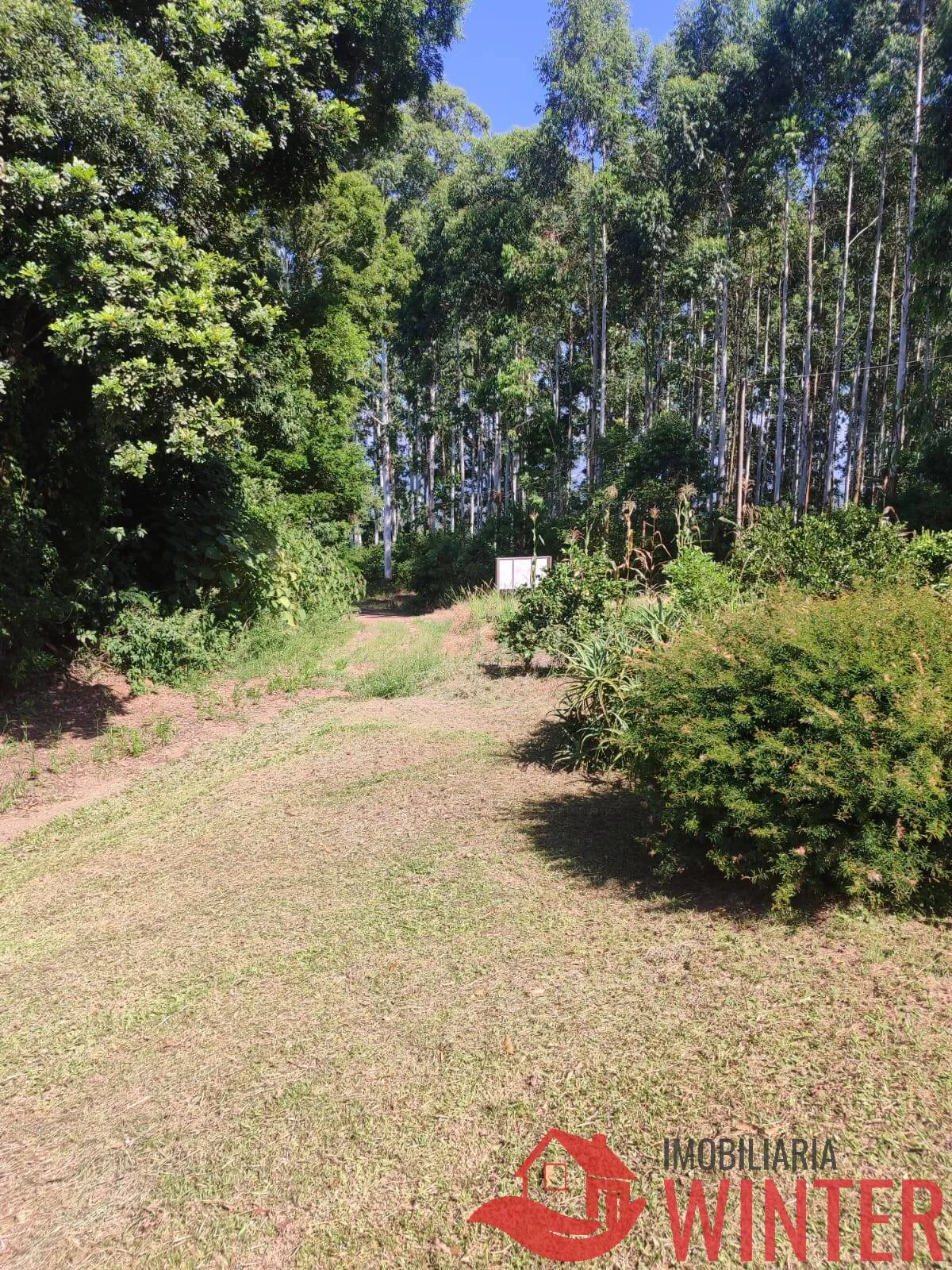 Imagem Área de 85.461,00m² com saibro em Arroio Bonito, São José do Hortêncio.