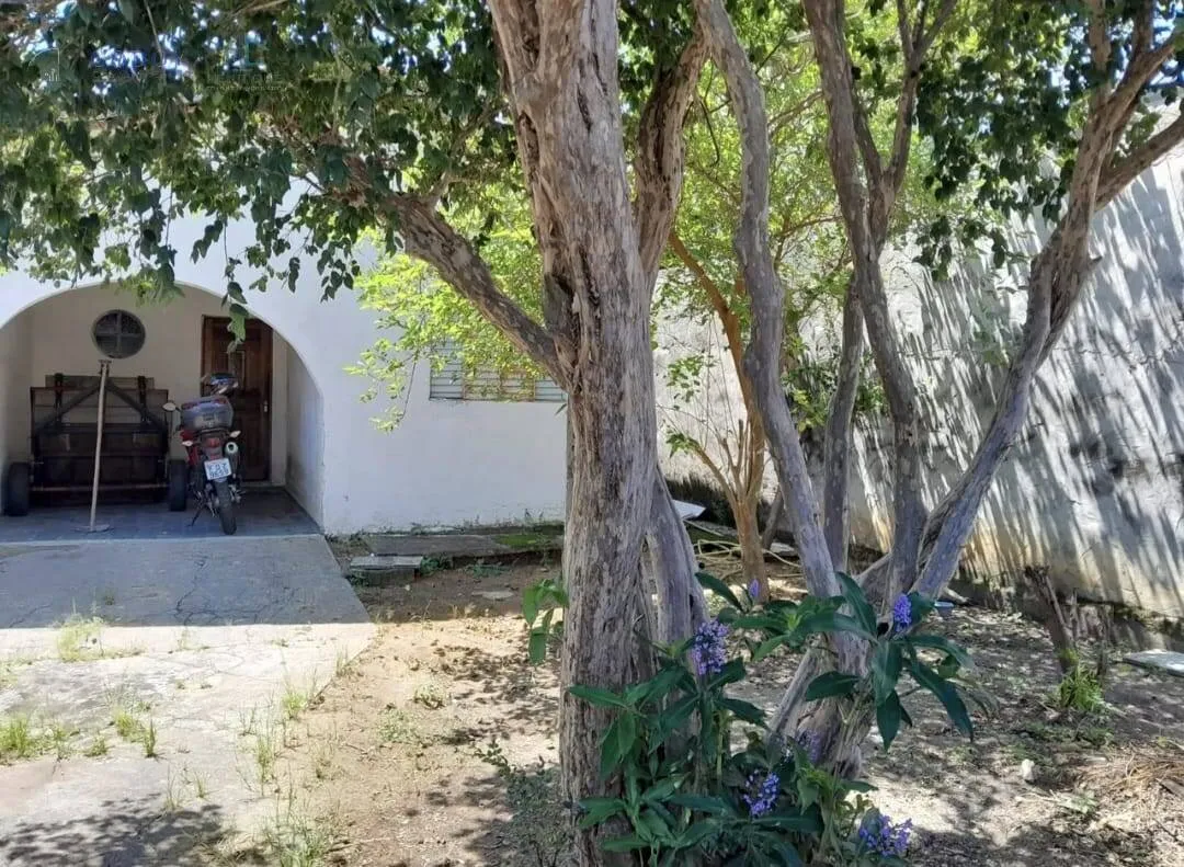 Imagem Oportunidade de Investimento - Casa com Edícula em Terreno de 300 m²