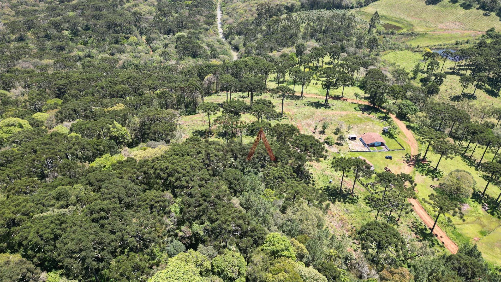 Imagem CHACARA A VENDA NO DISTRITO DO GUAIRACA, GUARAPUAVA - PR