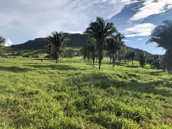 Imagem Fazenda à venda em Cocalzinho de Goiás/GO