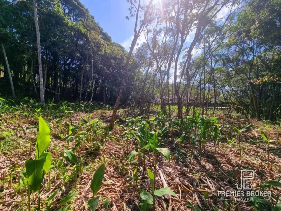 Imagem Terreno à venda, 4430 m² por R$ 1.300.000,00 - Comary - Teresópolis/RJ