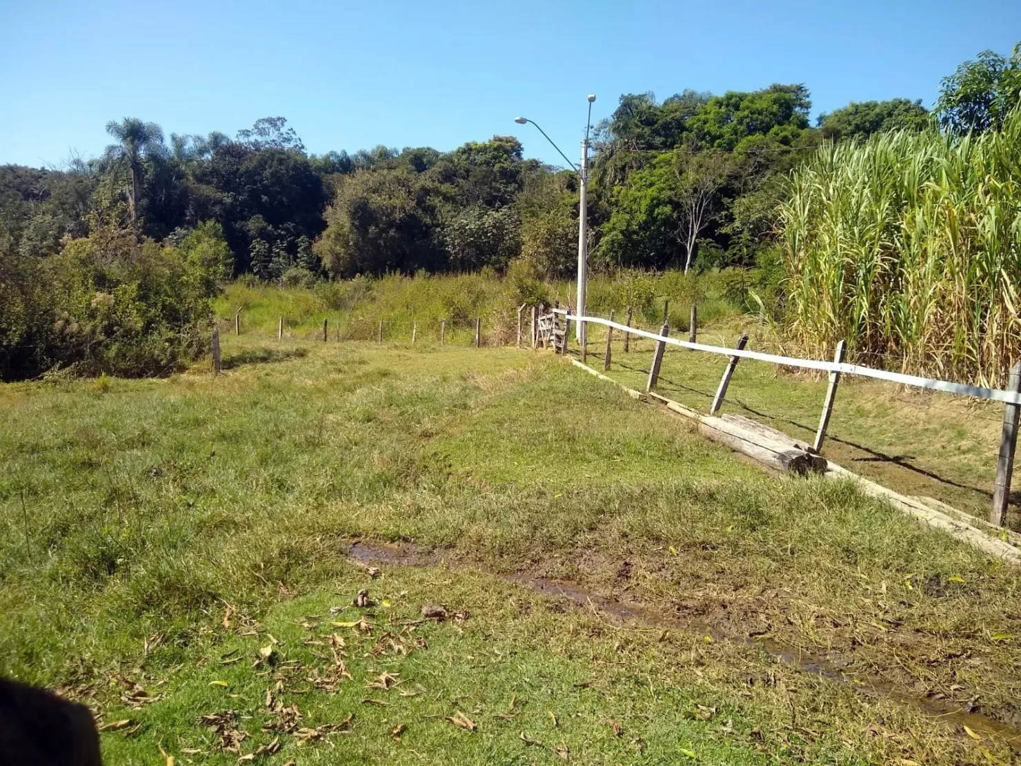 Foto do imóvel Chácara à venda, excelente local, 14000M², Bosque dos Ipês, Guaratinguetá - SP