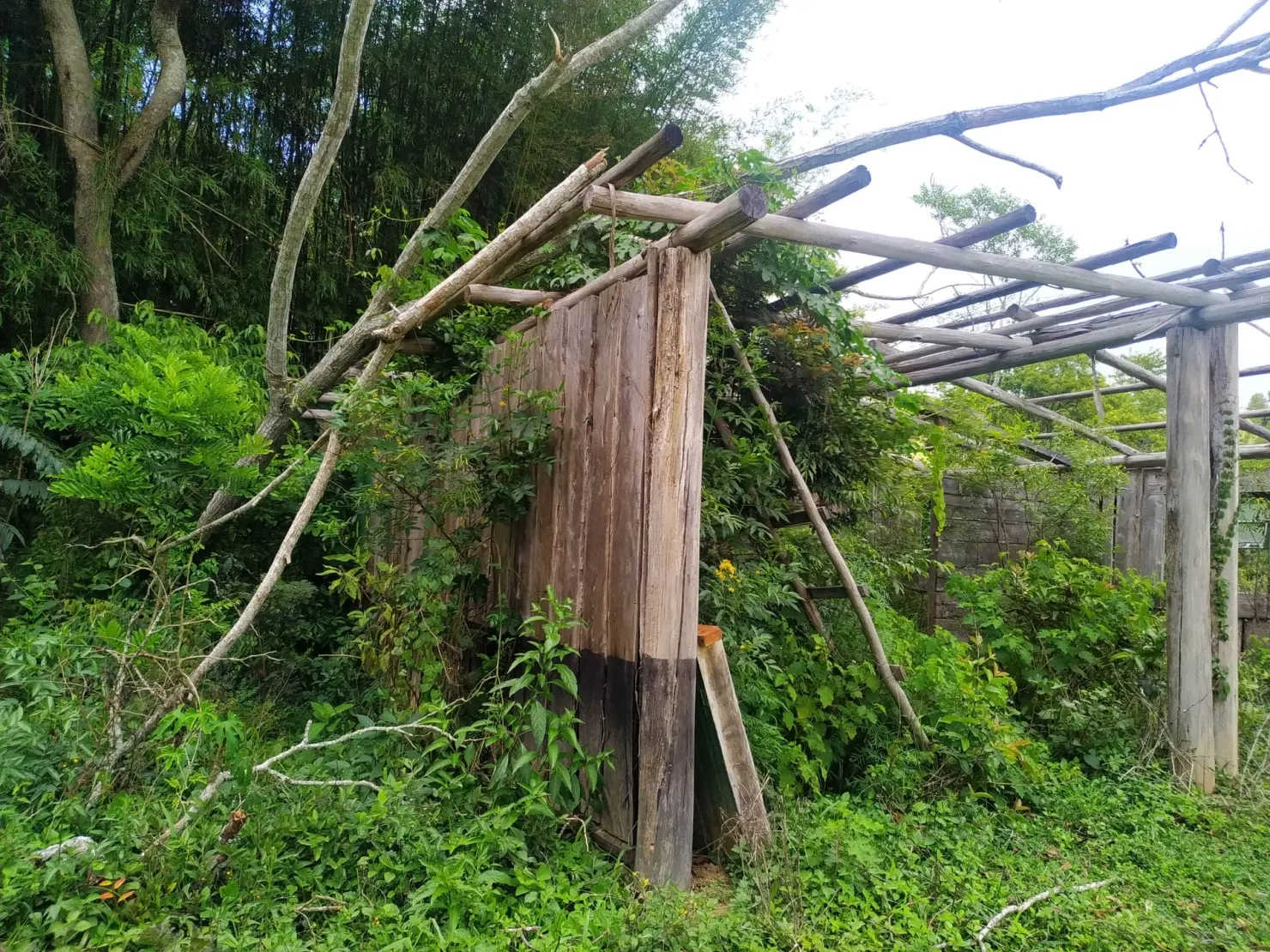 Imagem Chácara à venda 1700000M², Centro, São Luiz do Paraitinga - SP