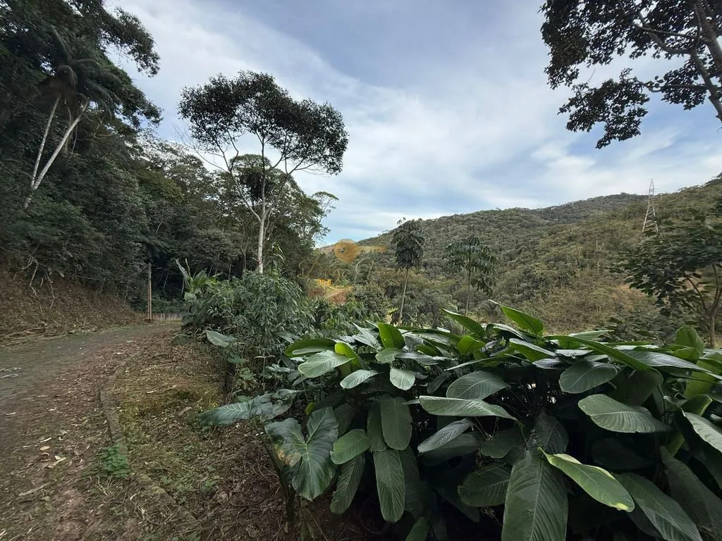 Imagem Terreno para Venda em Teresópolis / RJ no bairro Albuquerque