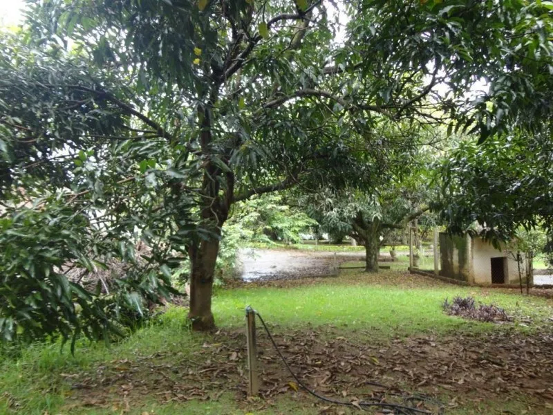 Imagem Oportunidade única: Área Comercial à venda em Valinhos-SP, no Jardim Paiquerê, com 1 quarto, 1 sala, 1 banheiro e 600,00 m².