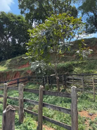 Imagem Terreno a venda