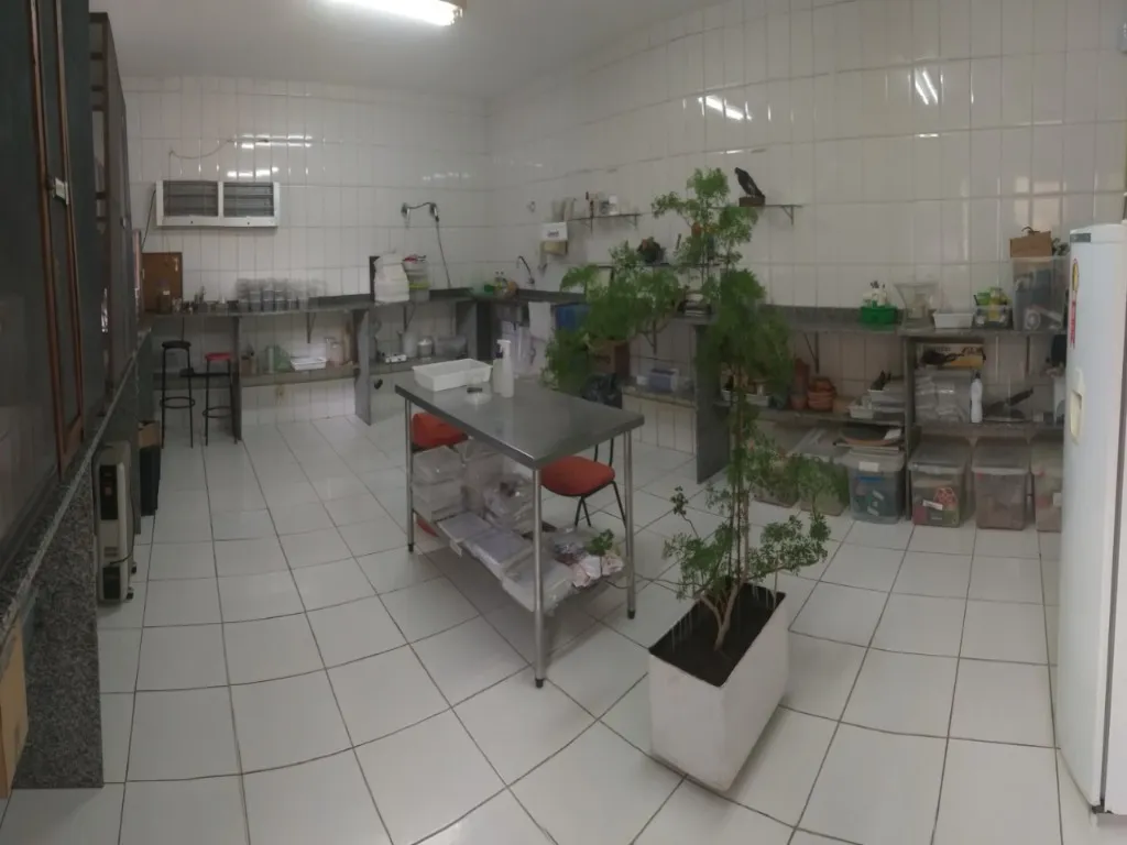 Imagem Alugar Prédio comercial em São Bernardo do Campo SP