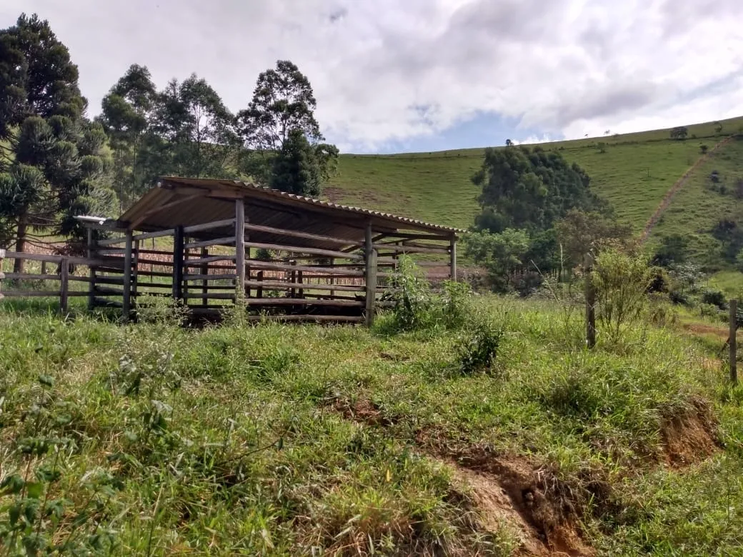 Imagem Chácara à venda 2 Quartos, 135000M², Zona Rural, Piquete - SP