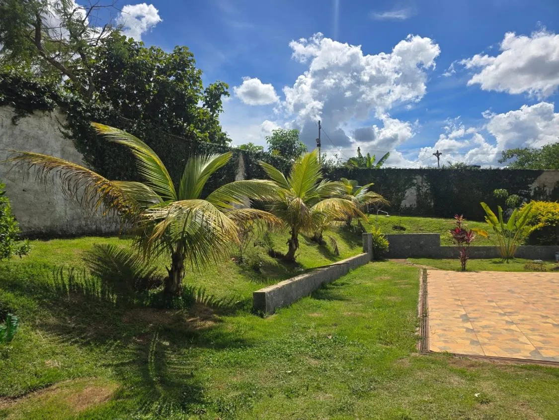 Imagem Vendo excelente sítio em Mateus Leme ,área total de 2.800 m²