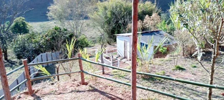Imagem Chácara à Venda
