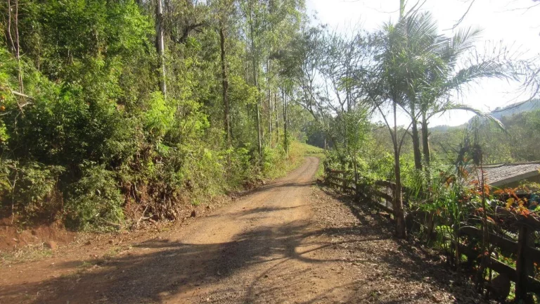 Imagem Terreno para Venda em Arabuta, Interior