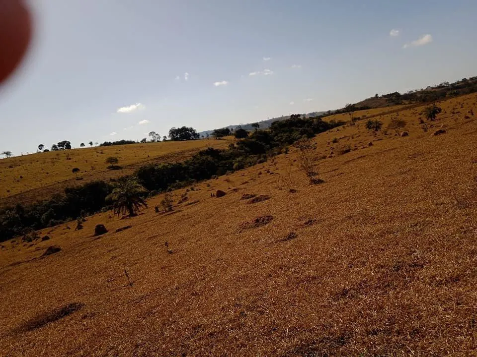Imagem Vendo Excelente Fazenda em Bonfim/MG 90 hectares de terra