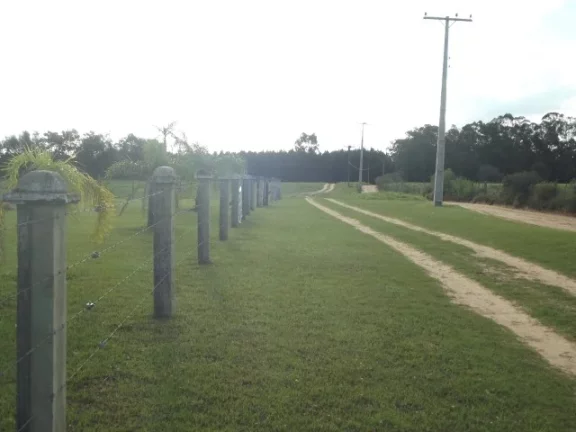 Imagem Belo Sítio com 4.000m², Cercado, Águas Claras, Viamão