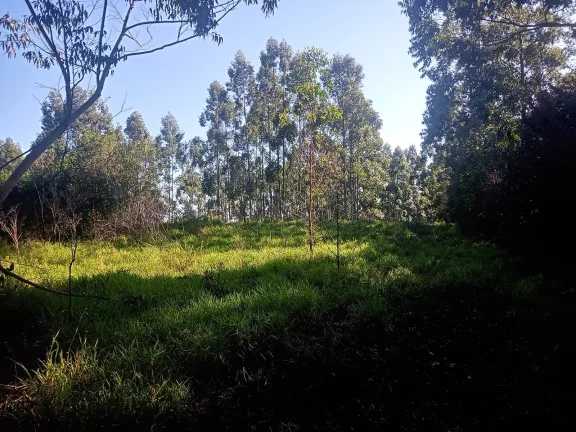 Imagem Excelente Área para Investimento - 29 Hectares, Pimenta, Viamão/RS