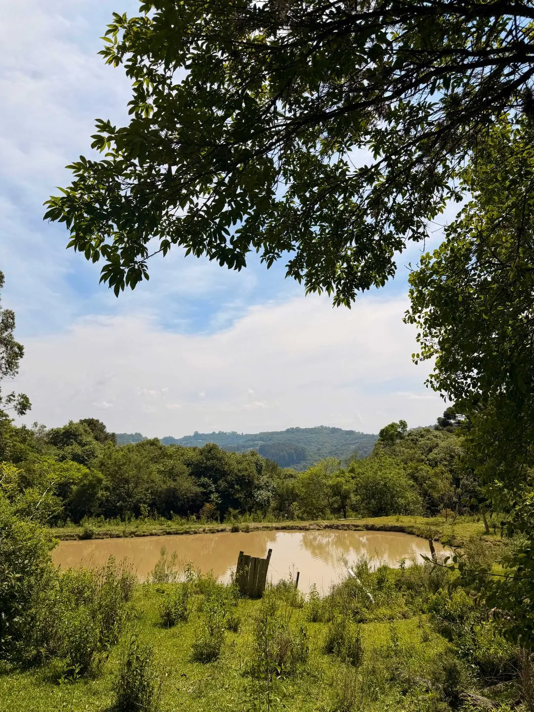 Imagem Chácara à venda em Caxias do Sul, Centro, 20000m2