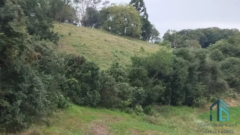 Imagem Sitio a venda, 375,100 mil m² (15.5 alqueires), aproximado 7 alqueires de plantio restante reserva e pasto, em Condói PR