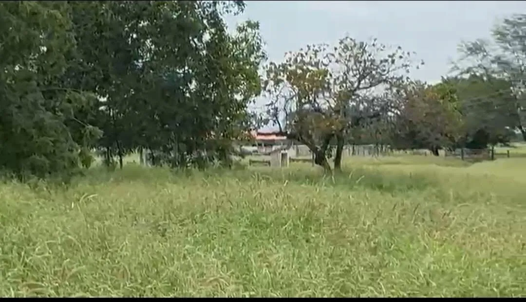Imagem Vendo excelente fazenda em Jaíba/MG ?área total de 3.150 hectares