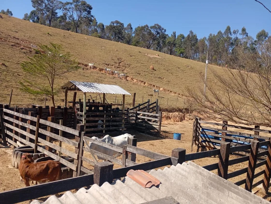 Imagem Vendo excelente sítio/fazendinha em Piedade dos Gerais/MG, com 30 hectares de terra