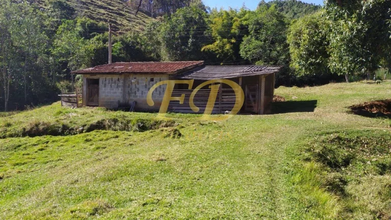Imagem Fazenda em Piracaia