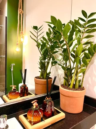 Imagem Apartamento para locação na Consolação, São Paulo-SP: 1 quarto, 1 banheiro, 22m² de área.