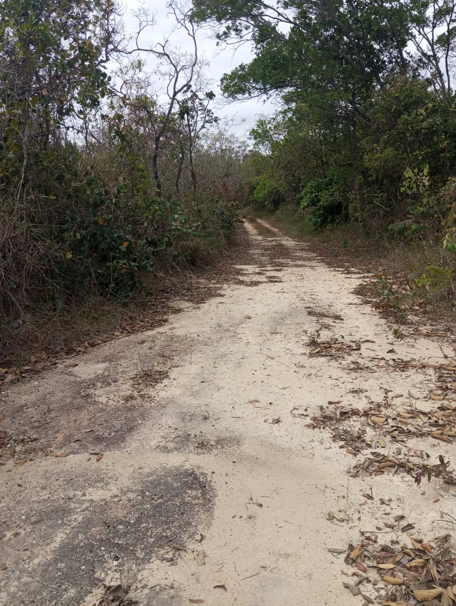 Imagem Chácara com 2 Quartos à Venda, 34.000 m² em Ravena - Sabará