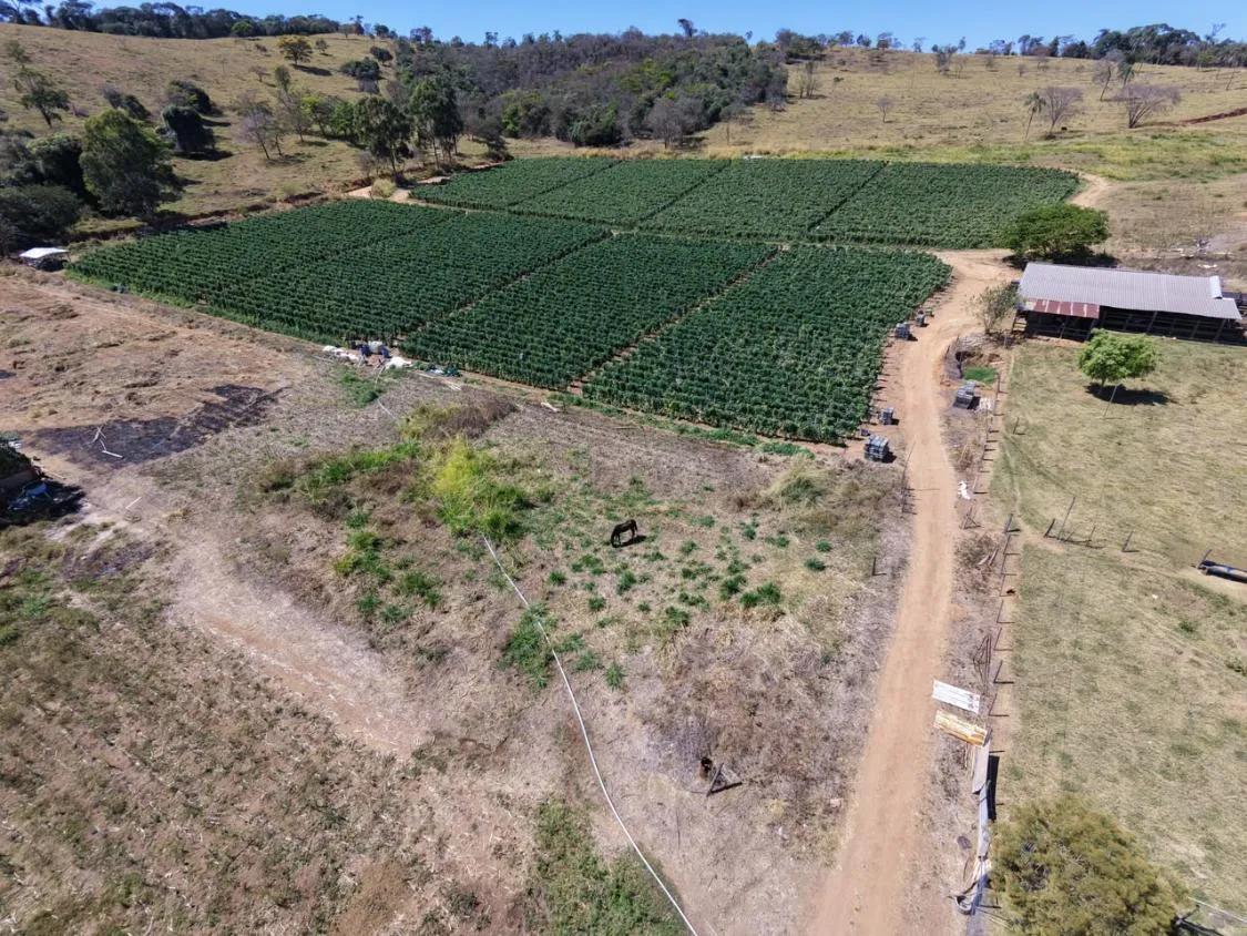 Imagem EXCLUSIVIDADE | FAZENDA a venda - CLÁUDIO/MG -90 hectares de área total